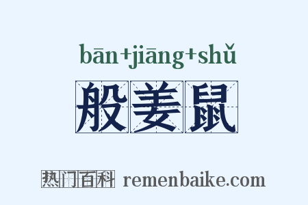 般姜鼠是什么意思的图片
